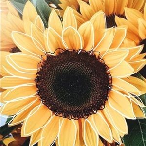 Meet your Posher, Emmi